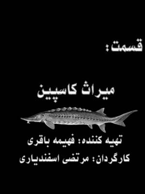 کارگشا(میراث کاسپین)