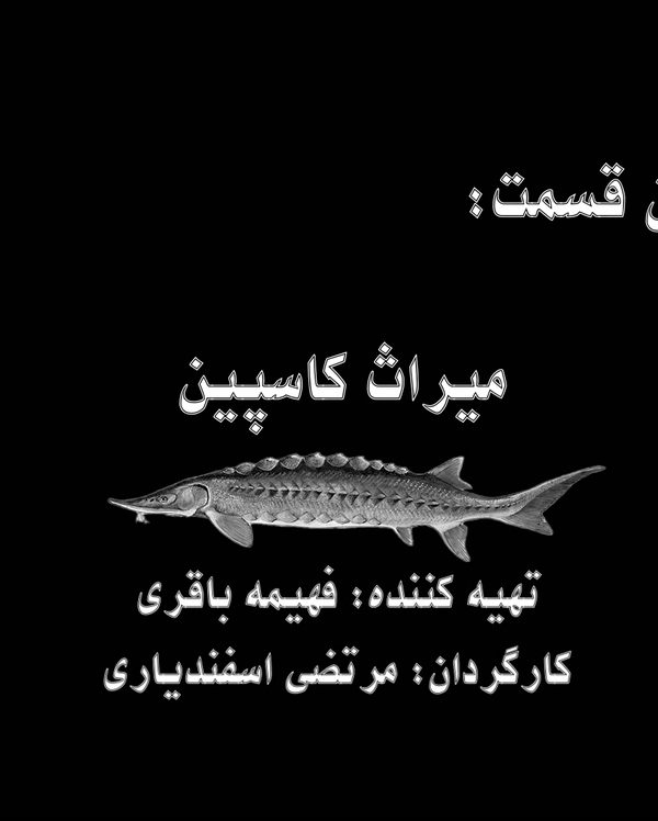 کارگشا(میراث کاسپین)