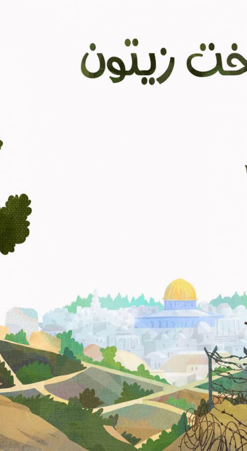 قصه های درخت زیتون