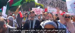 Pro Palestine Rallies In USA