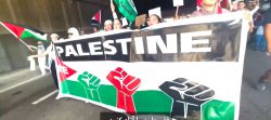 Pro Palestine Rallies In USA