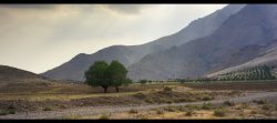 خودم می‌بینم