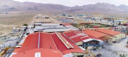 مربی