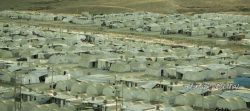 دستار