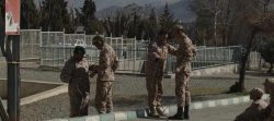 مشترک مورد نظر
