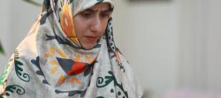 نقطه صفر(مهندسی اراده)