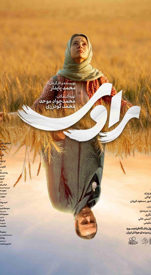 راوی
