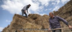 فرزندان سبلان(مثل آن پرنده)