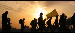 تا آخرین عمود