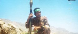 از دانشگاه تا دانشگاه