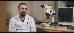 مارال