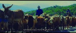 دی(مادر)