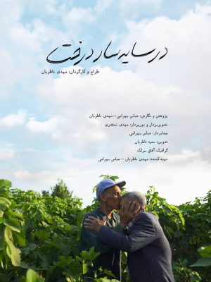 در سایه سار درخت