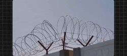 مهمانی تمام است