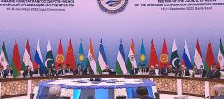 به خاطر یک مشت دلار