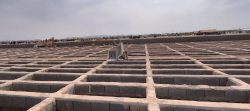 مشارکت در قتل شبه عمد