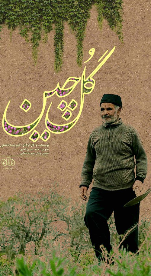 گل چین