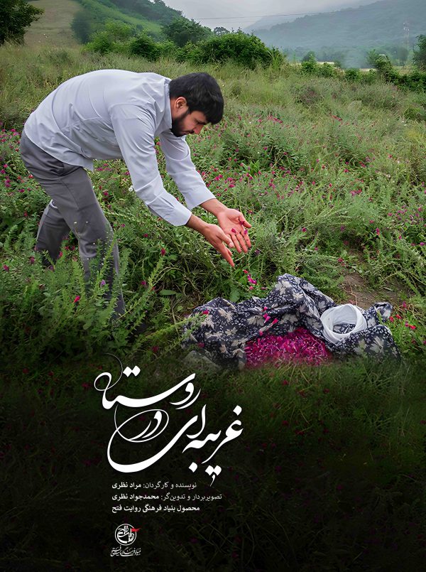 غریبه‌ای در روستا